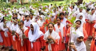 হোমনায় যুব স্বেচ্ছাসেবী ফোরামের উদ্যোগে শিক্ষার্থীদের মাঝে গাছের চারা বিতরণ