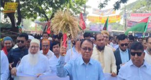 আমি ভাড়াটিয়া নই, আমি হোমনার ভোটার — অধ্যক্ষ সেলিম ভূইঁয়া।