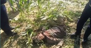 হোমনায় চালককে ‘গলা কেটে হত্যা’র পর অটোরিকশা ছিনতাই!