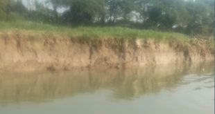 হোমনায় তিতাস নদী ভাঙনে কৃষিজমির ব্যাপক ক্ষতি, হুমকির মুখে বসতবাড়ি!